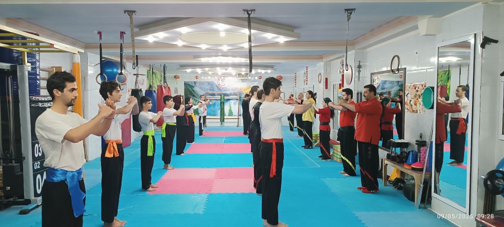 سمینار وو وی کونگ فو